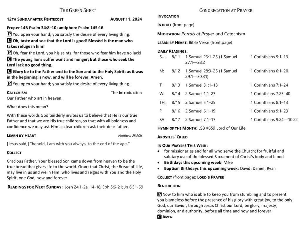 thumbnail of 2024-08-11-12th_sunday_after_pentecost_greensheet