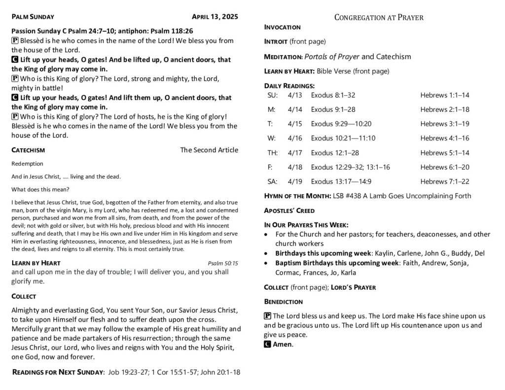 thumbnail of 2025-04-13-palm_sunday_greensheet