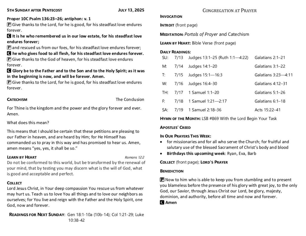thumbnail of 2025-07-13 Fifth Sunday after Pentecost
