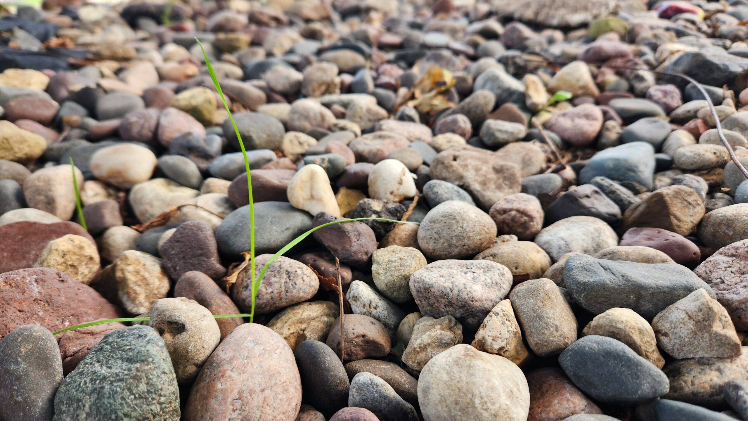 Vain Toil or Wise Work?