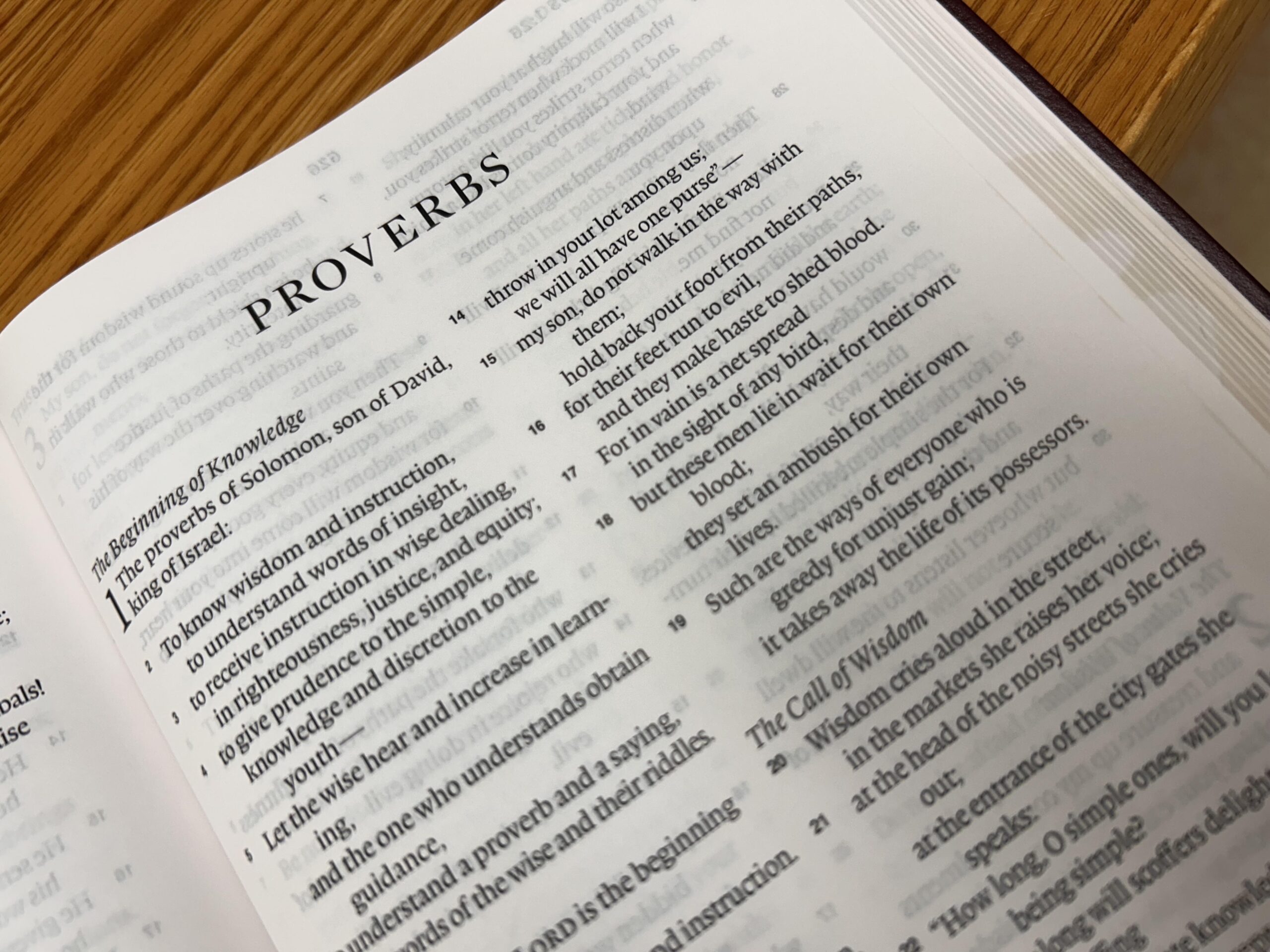 Do You Know What We Who Live by Faith in Jesus Can Learn from the Book of Proverbs?
