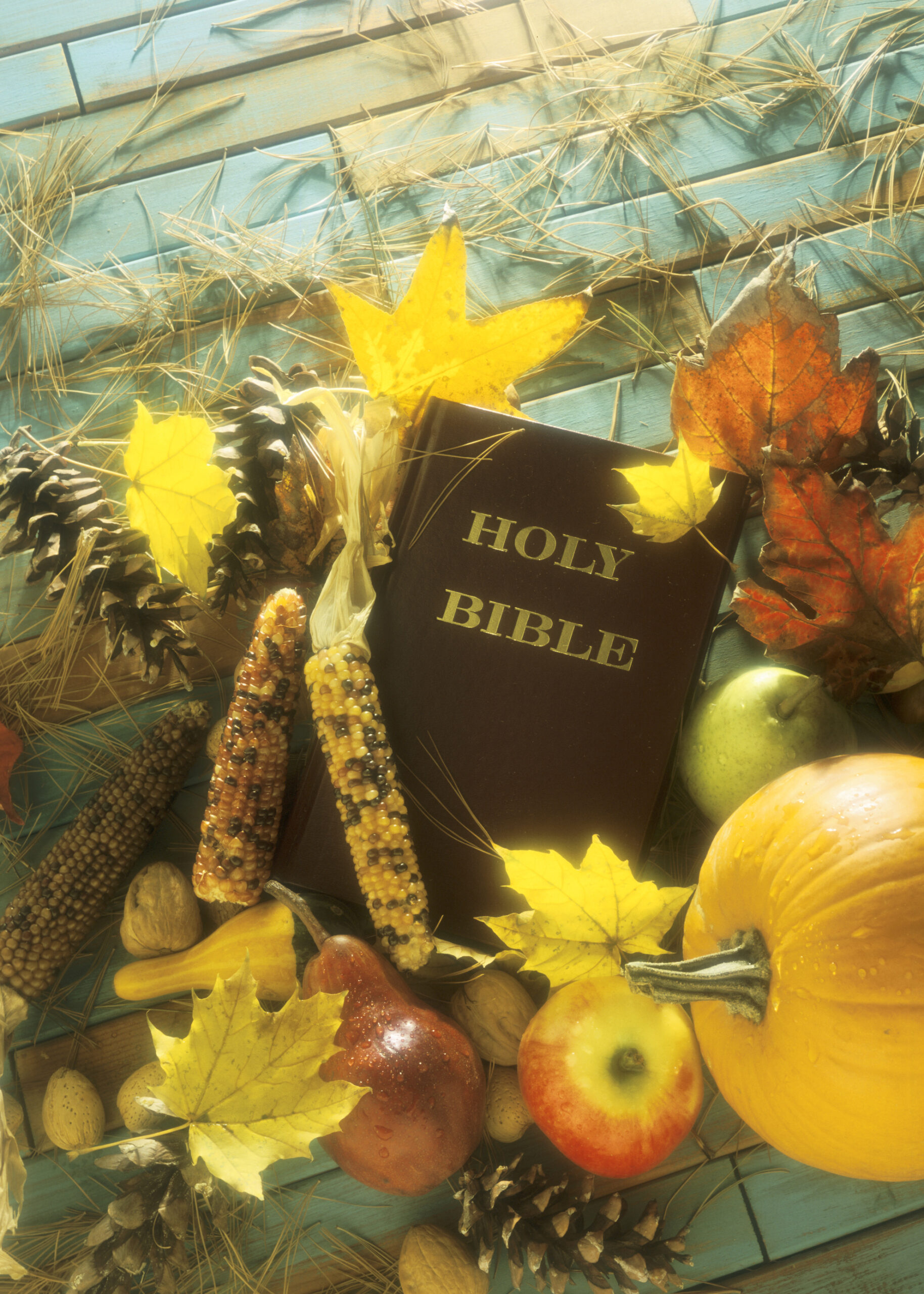 The Feast on God’s Holy Mountain