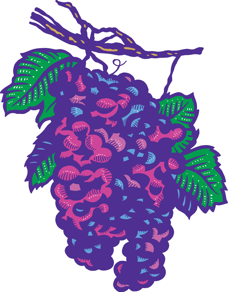 The Vineyard of the Lord